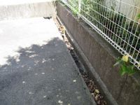 共有部清掃　写真 098.JPG