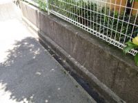 共有部清掃　写真 110.JPG