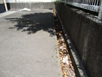 共有部清掃　写真 096 - コピー.JPG