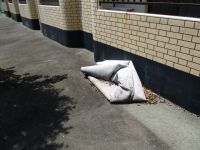 共有部清掃　写真 089.JPG