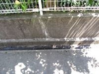 共有部清掃　写真 109.JPG