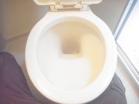 RIMG0562 - コピー.JPG