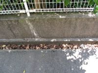 共有部清掃　写真 097 - コピー.JPG